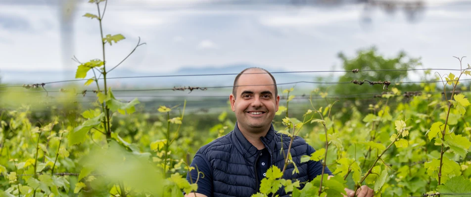 An IT guy who goes to the vineyard to clear his head