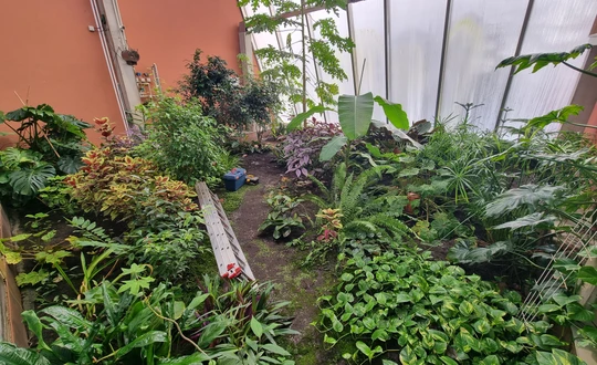 Skleník pohled na zemi