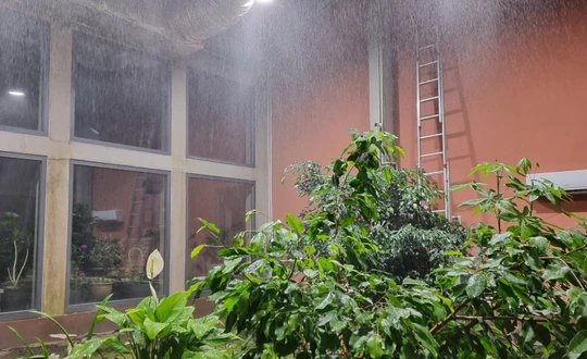 Ve skleníku i uměle prší